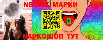 СК Бердск
