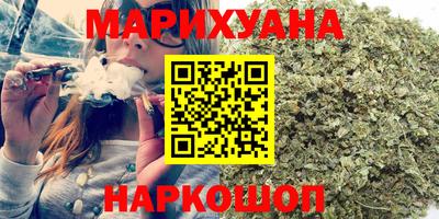 СК Бердск