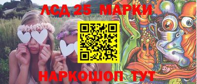 СК Бердск