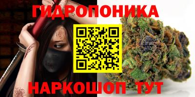 СК Бердск