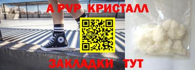 СК Бердск