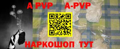 СК Бердск