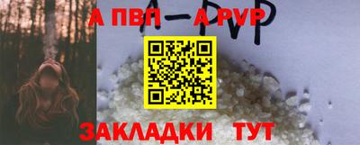 СК Бердск