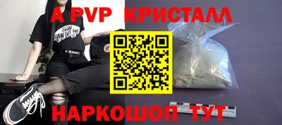 СК Бердск