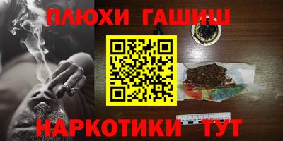 СК Бердск