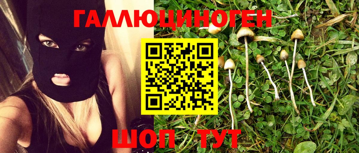 Брянск  Псилоцибиновые грибы GOLDEN TEACHER  Вход с VPN  как найти закладки  Галлюциногенные грибы мухоморы 