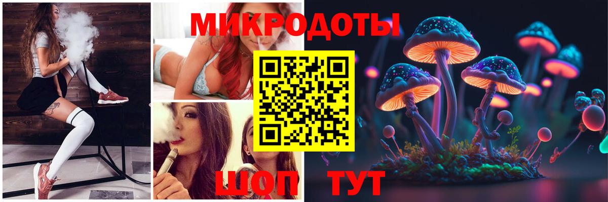Псилоцибиновые грибы Psilocybine cubensis Брянск